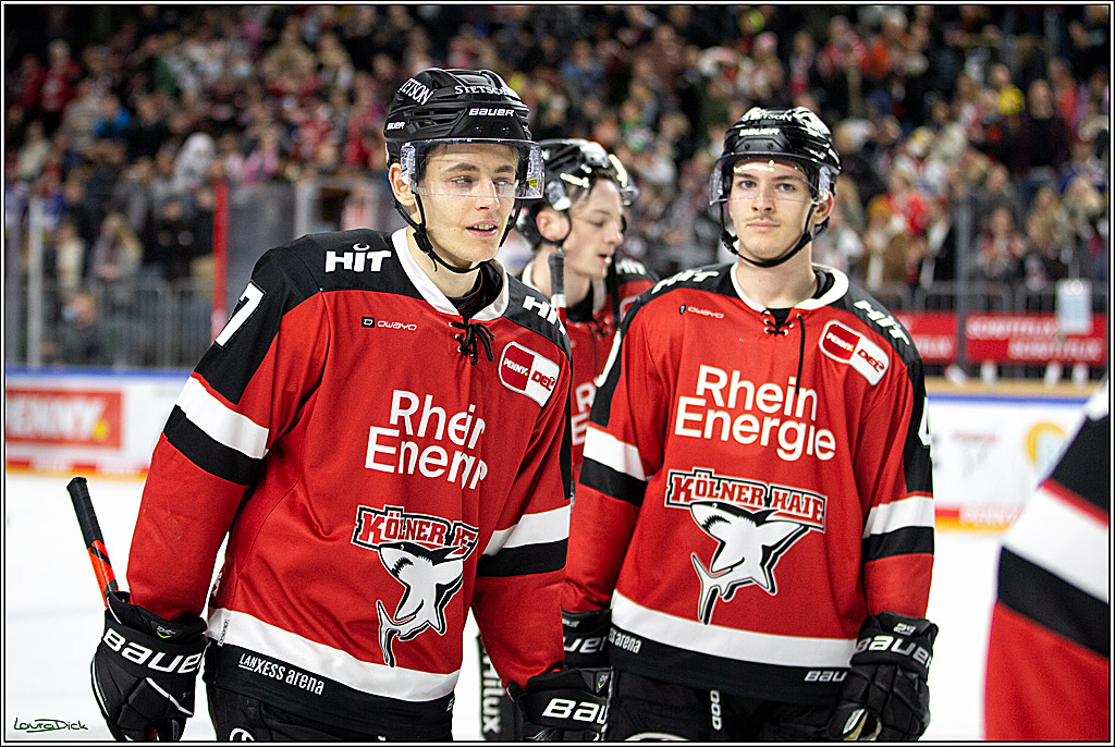 PENNY DEL; Koelner Haie- Bietigheim Steelers; Koeln, 19.11.2021